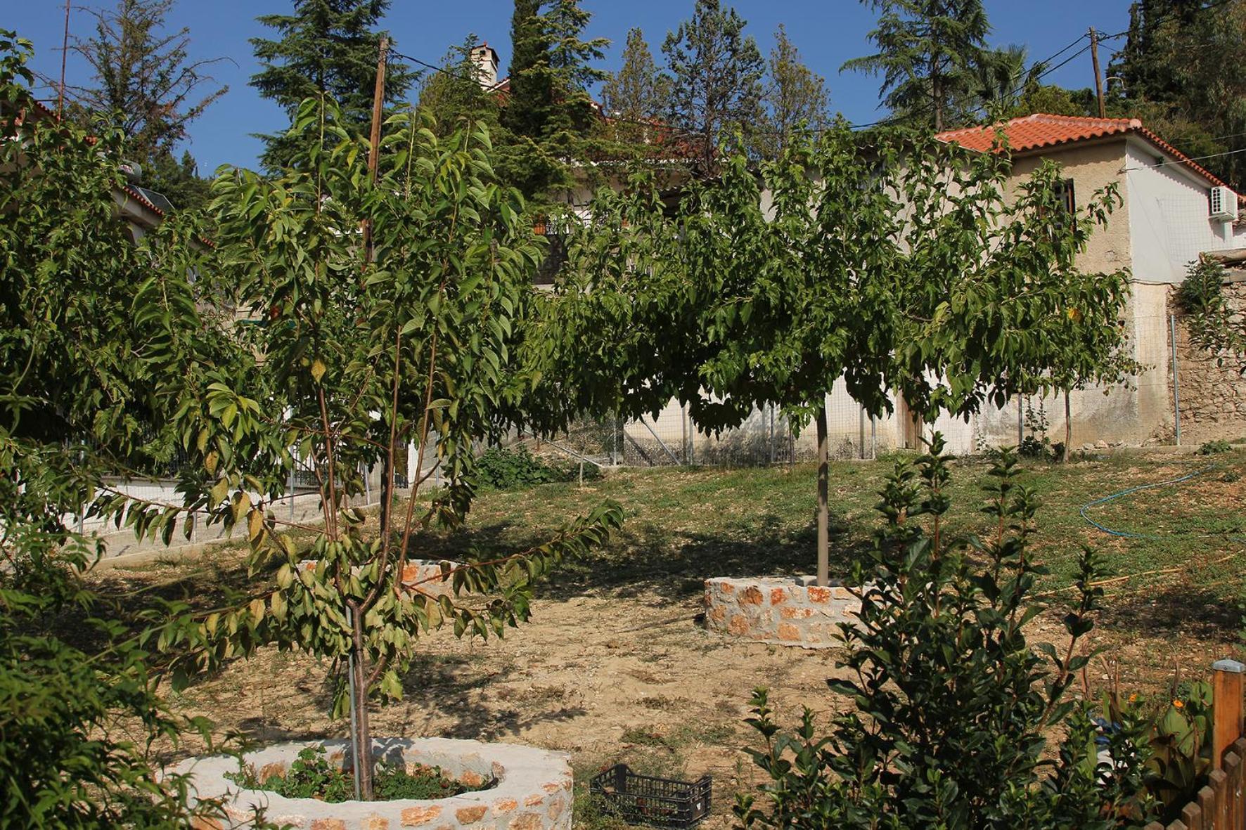 Vagelis 2 Nemea Apartments Exterior foto